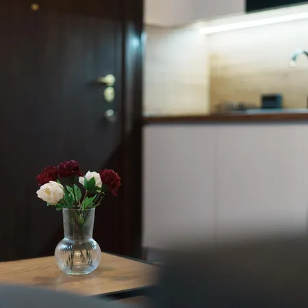 Bd Old Town - Pedestrian Zone - Center בלגרד